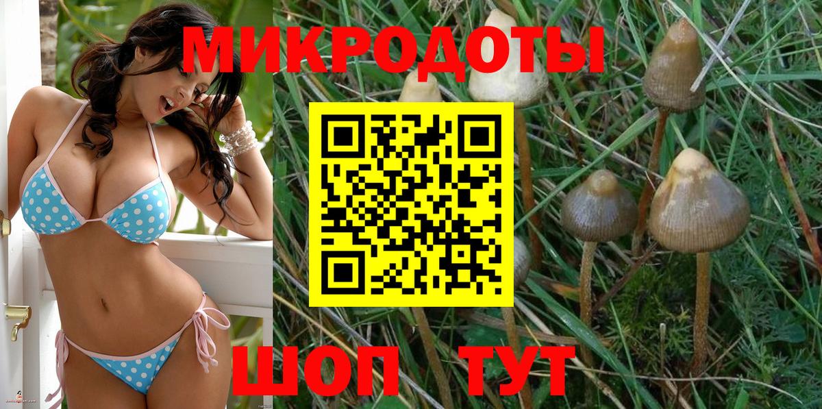 купить закладку  Псилоцибиновые грибы прущие грибы  Галлюциногенные грибы GOLDEN TEACHER  Вход с VPN  Бирск 